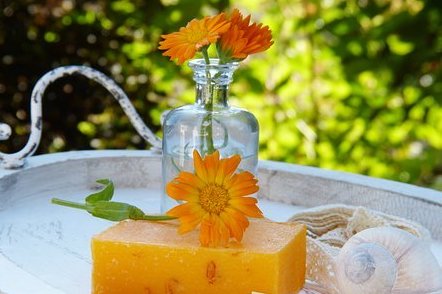 Naturopathie Naturopathie